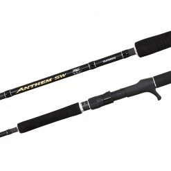 Spinning Rods Shimano Anthem SW Heavy Spinning Fishing Rod